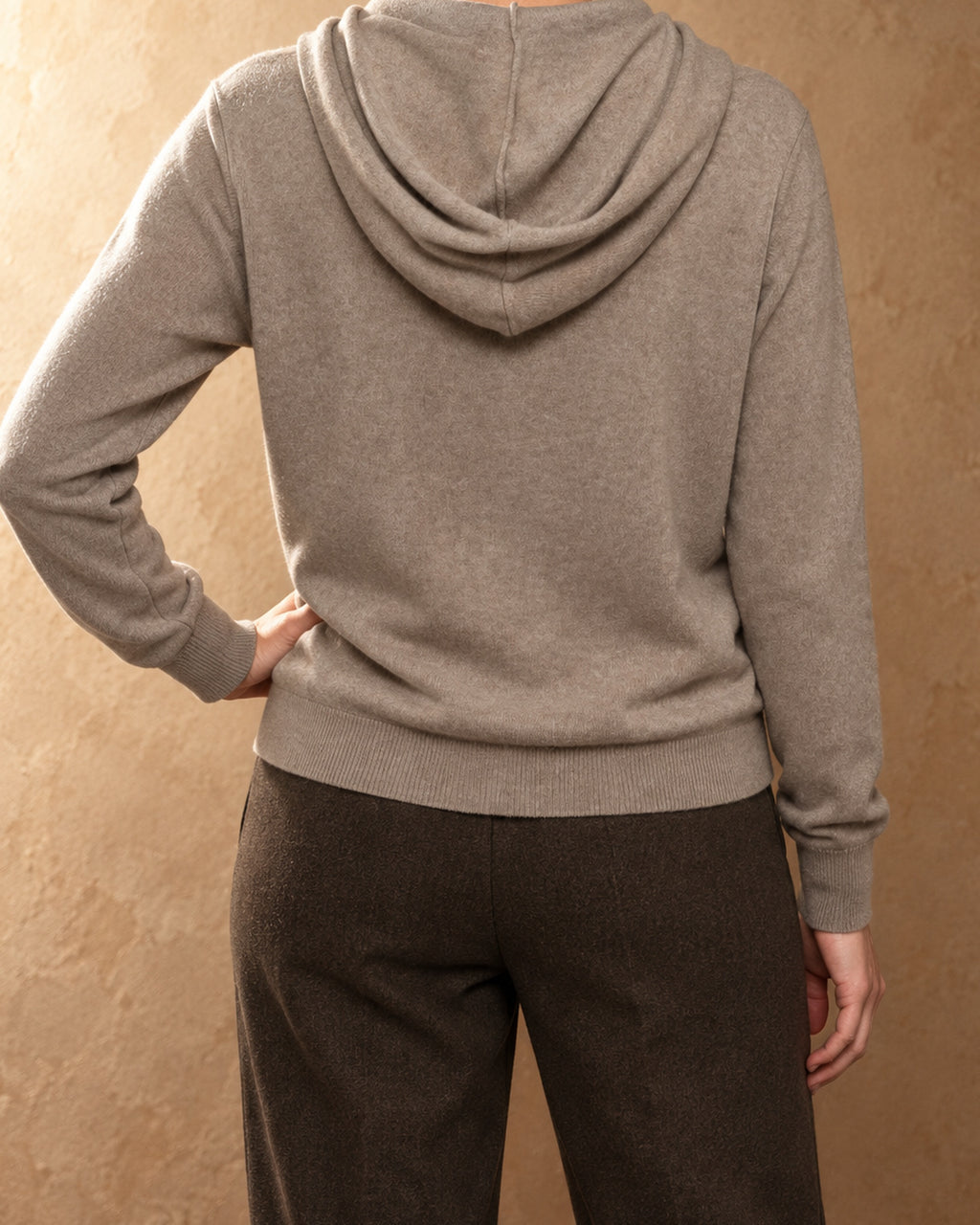 Zip Hoodie in Cashmere, Drawcords, Beige, back view